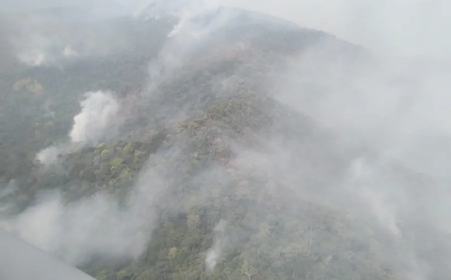 humo_chimas