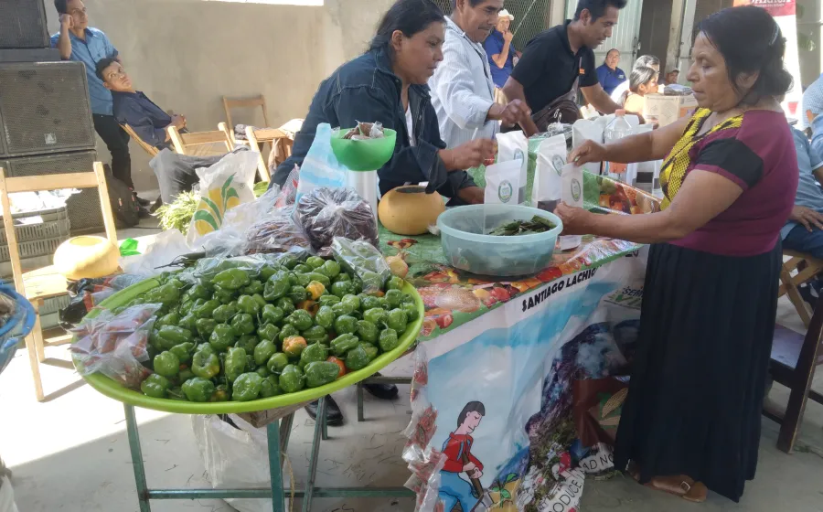 ventas_padre