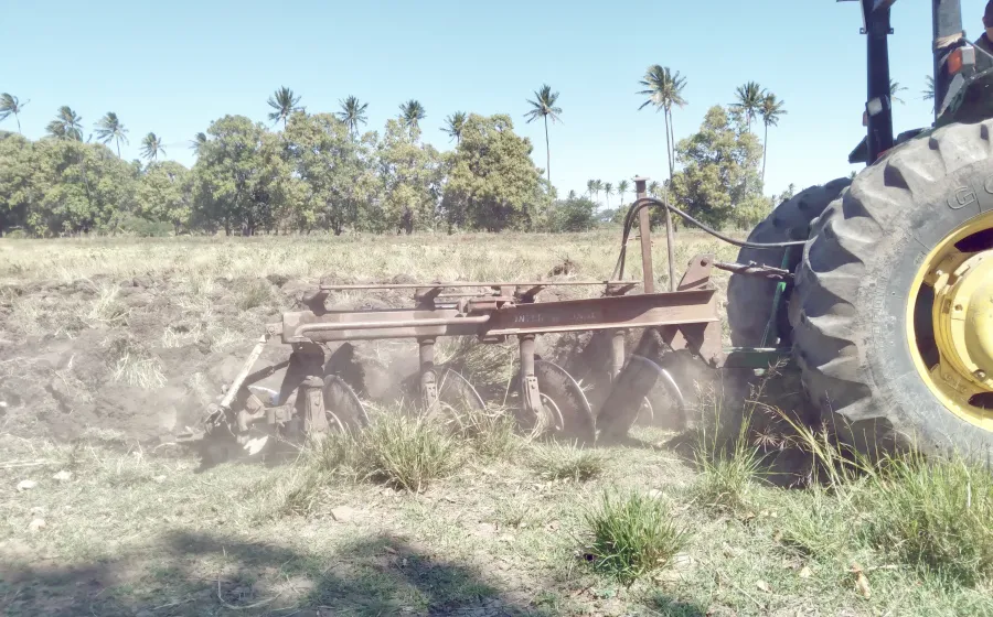 abandono_campo