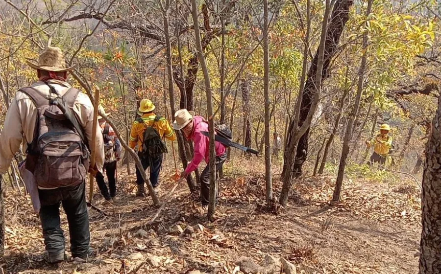 desastre_incendio_istmo