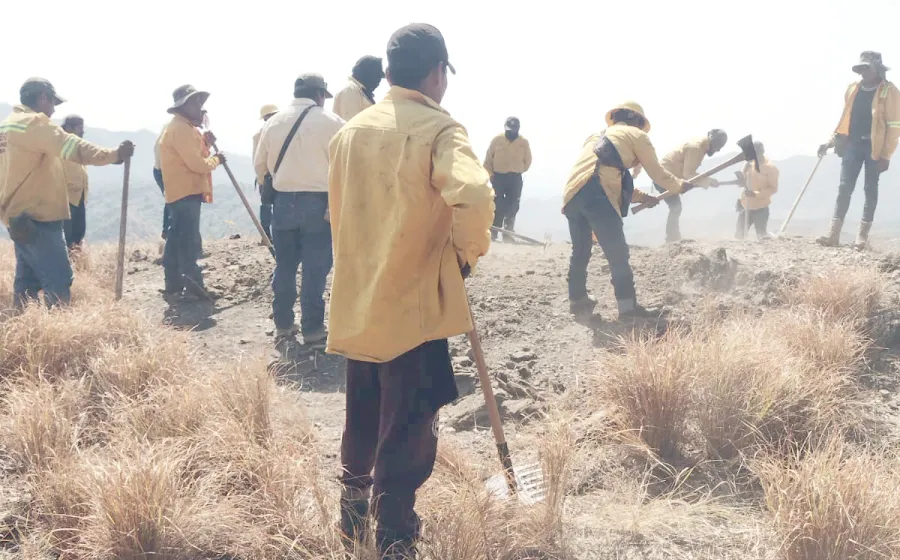 incendio_chimalapa