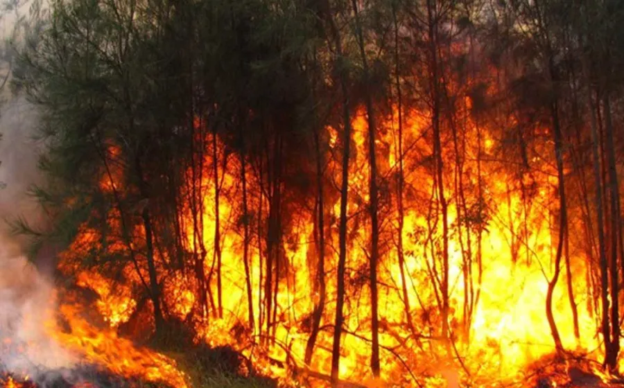 incendio_chimas