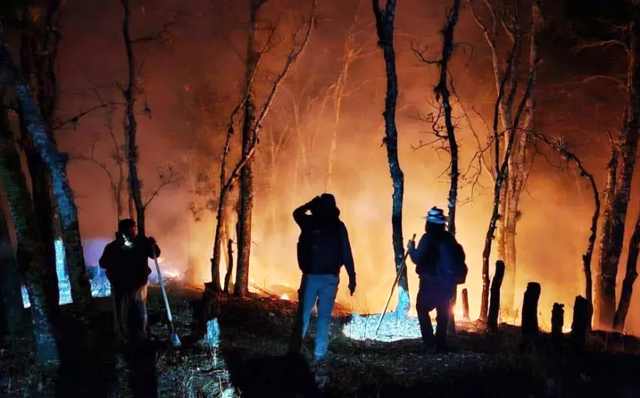 incendio_oaxaca