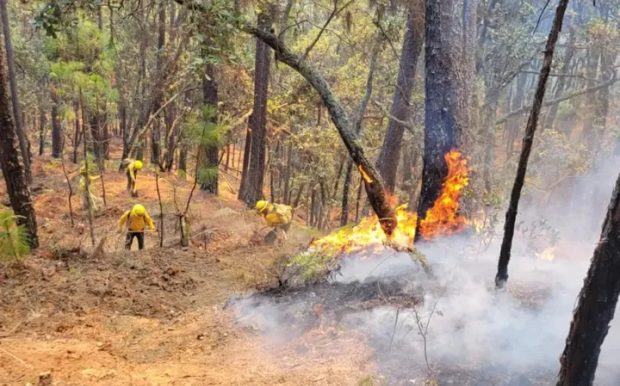 incendios_oaxaca