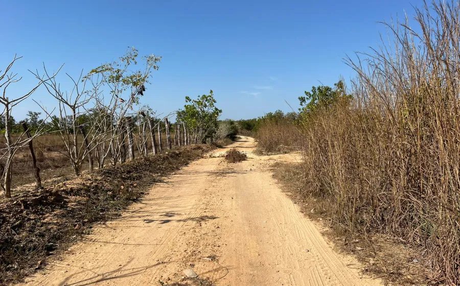 jamiltepec_terraceria