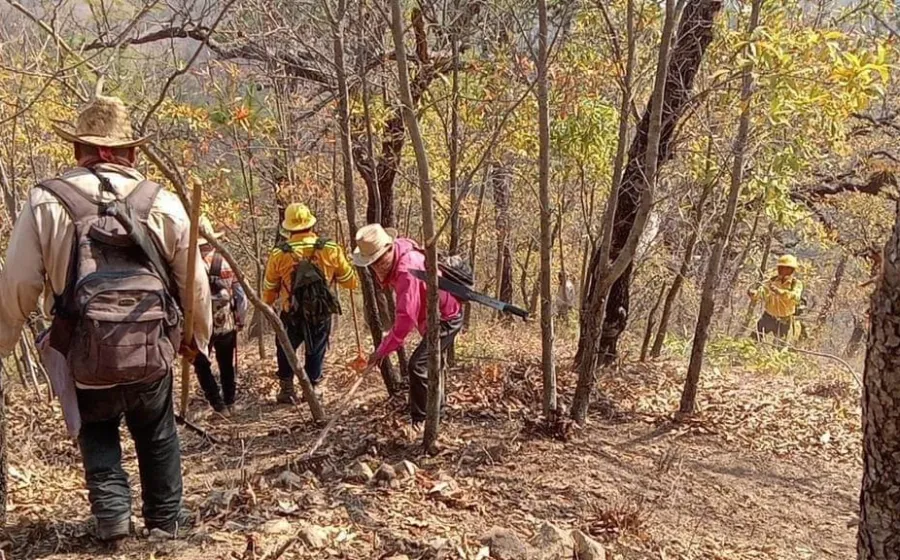 nuevo_incendio_chimas
