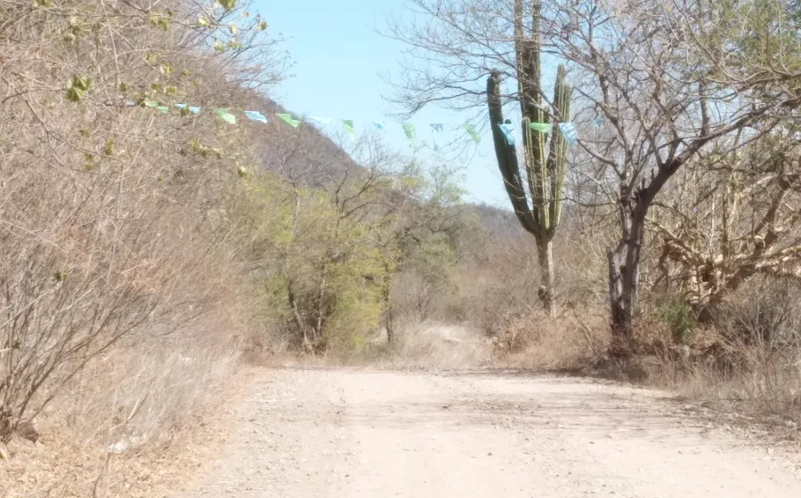Llaman a cuidar el entorno ecológico.