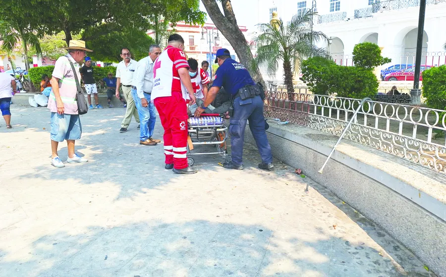 convulsionado_parque