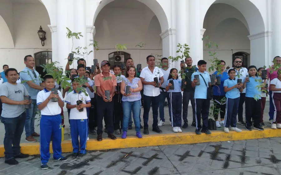arboles_escuela
