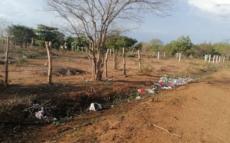 basura_contaminacion