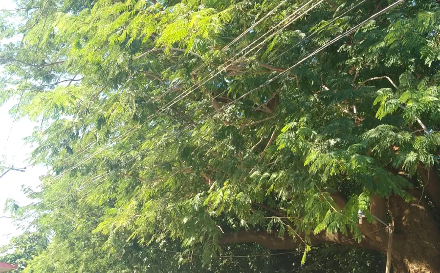 cables_peligro