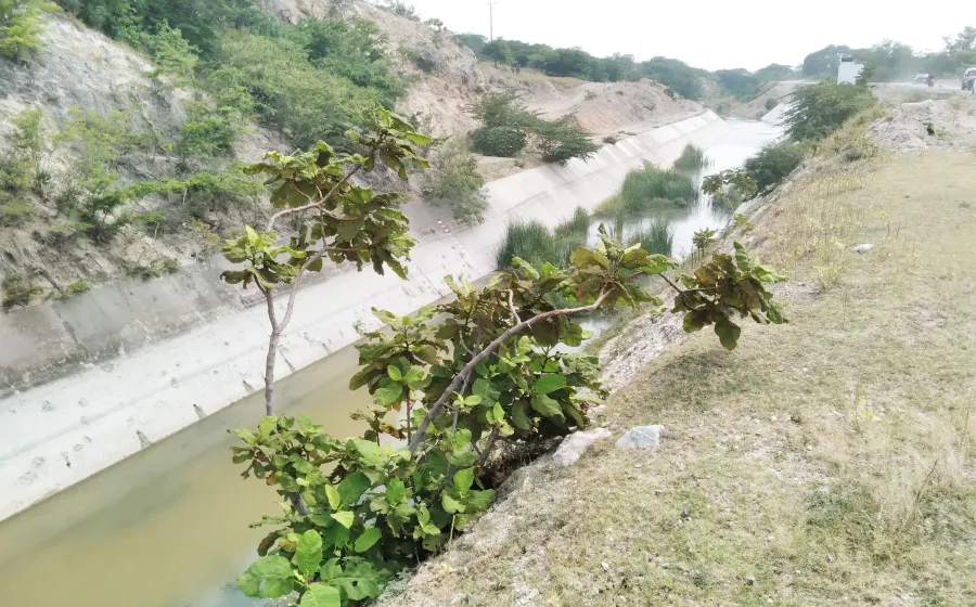 canales_campesinos