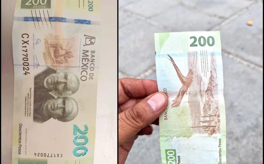 estafados_falso