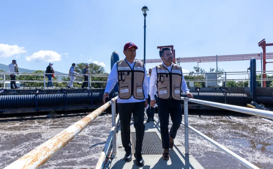 jara_planta_agua