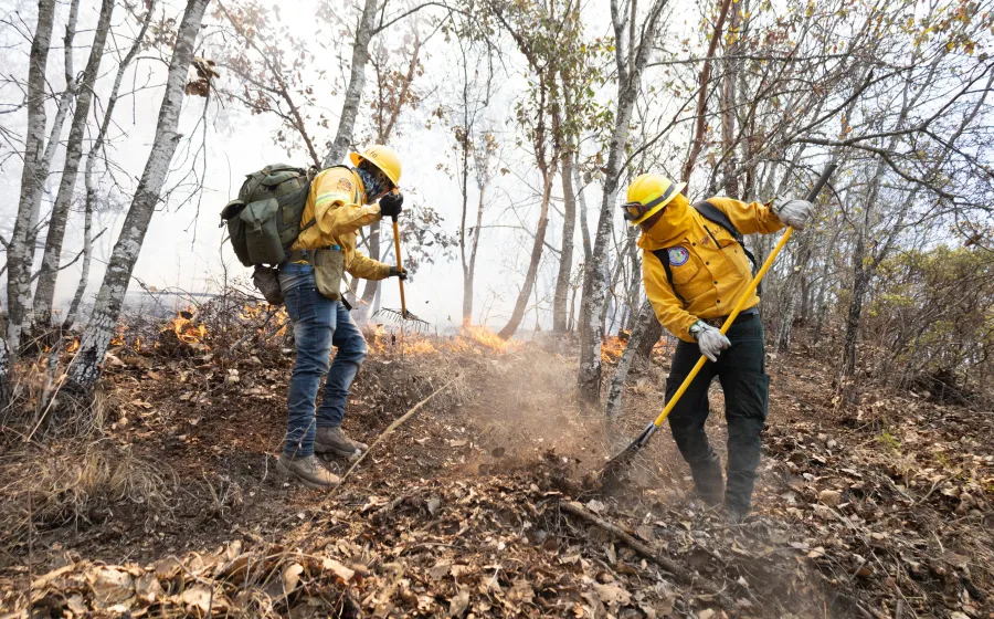 primavera_incendios.