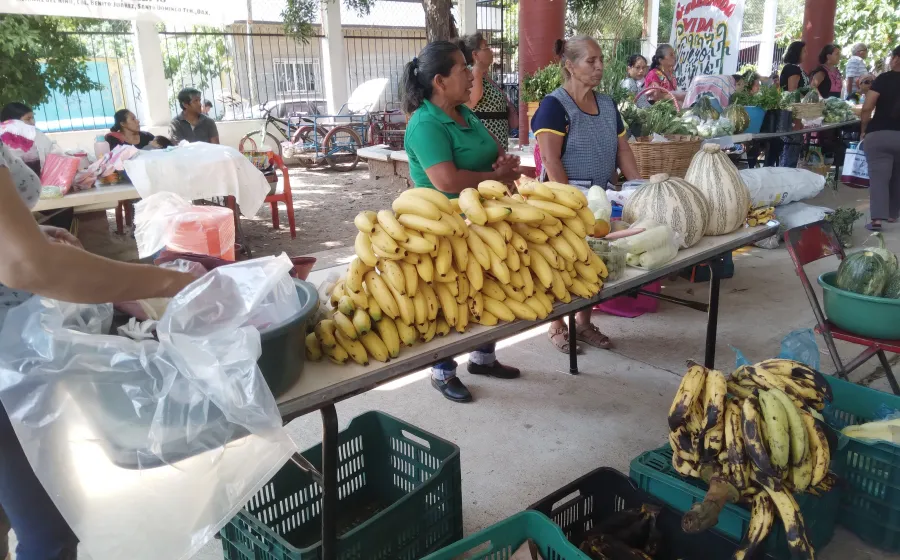 tianguis_campo