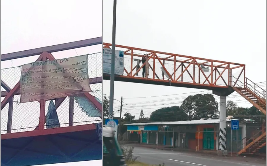 manta_puente