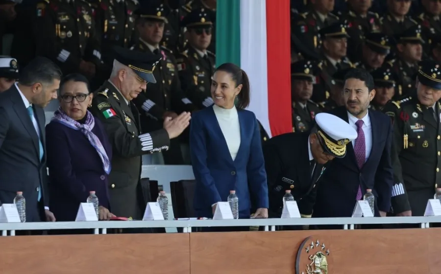 pardo_fuerzas