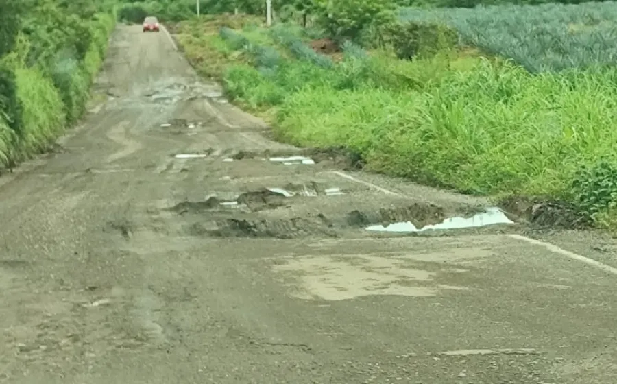 ponchaduras_carretera