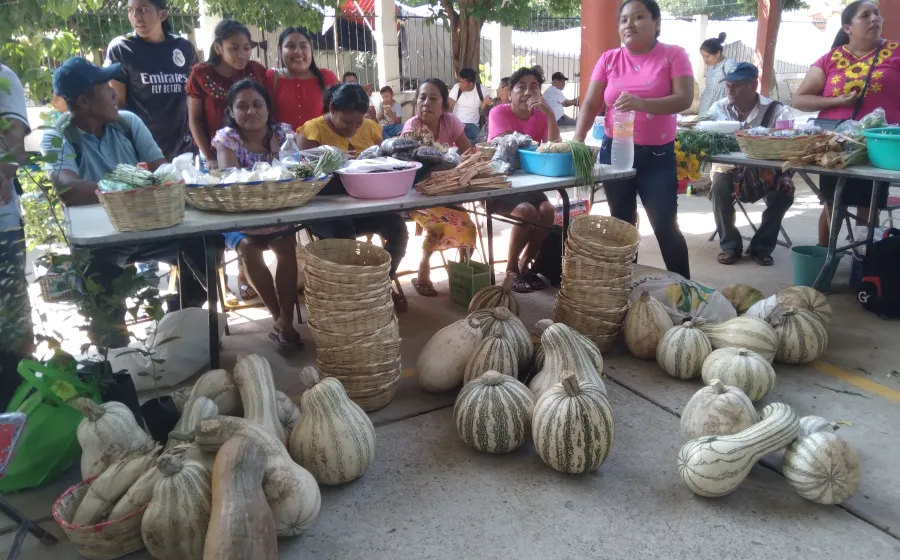 tianguis_tehua