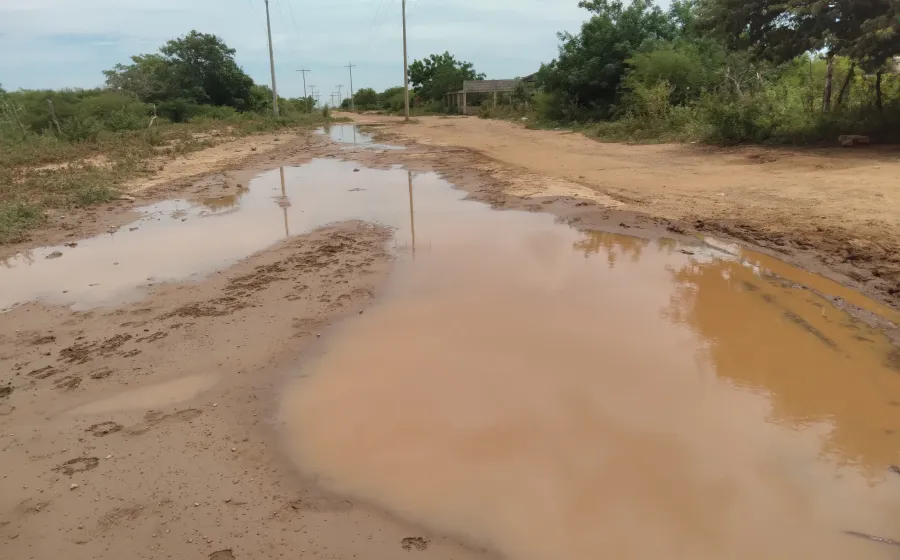 La temporada de lluvias es propicia para la reproducción del mosco transmisor del dengue.