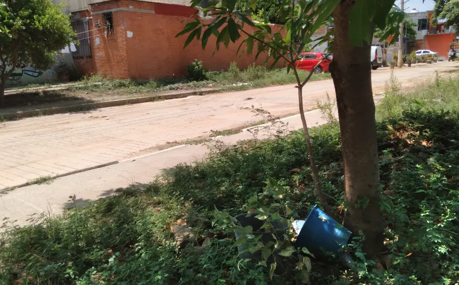 TEHUANTEPEC, Oaxaca.- Vecinos de diferentes fraccionamientos y colonia de Tehuantepec padecen la escasez de agua en sus domicilios, en algunos sitios ya llevan ocho días sin el líquido, y no hay para cuándo se restablezca el servicio.  Nos dijeron que solamente serán cinco días sin agua, y ya van ocho y al parecer el problema va para más tiempo, dijo Esperanza Juárez, vecina del fraccionamiento Tagolaba.  La falta del vital líquido nos ha llevado a adquirir pipas de agua, con el fin de satisfacer nuestras n