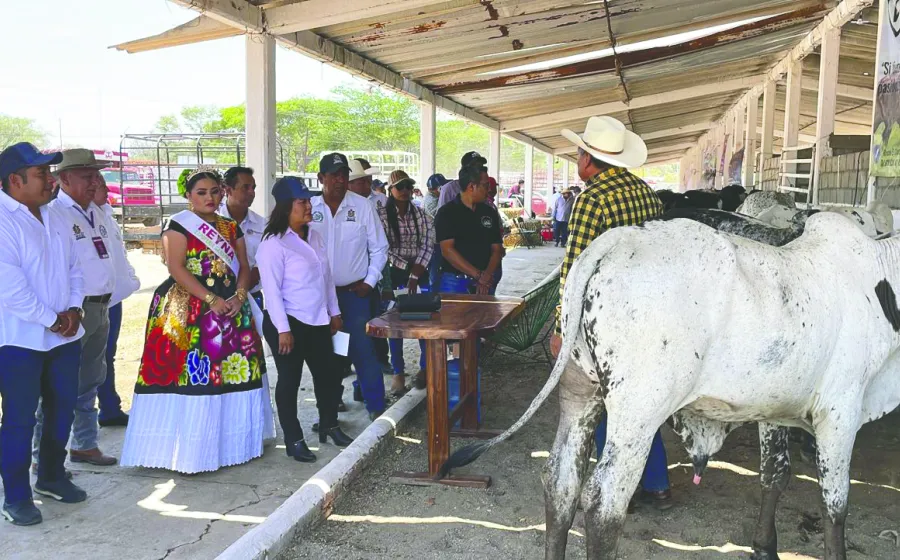 feria_ganaderos