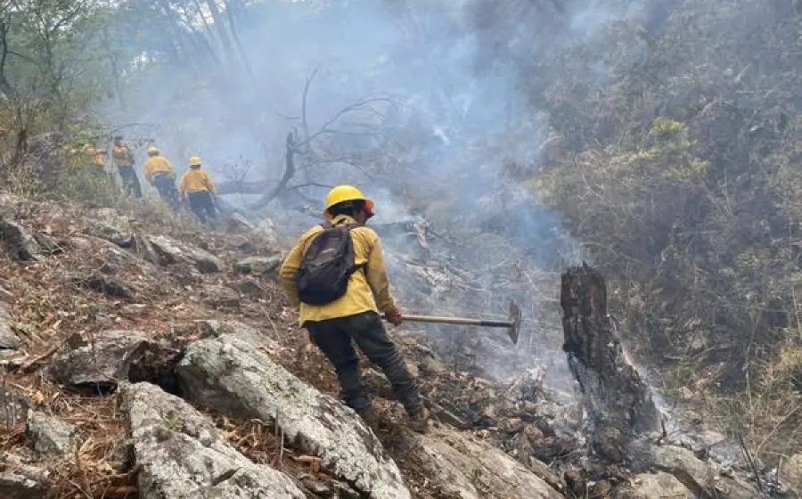 incendio_forestal