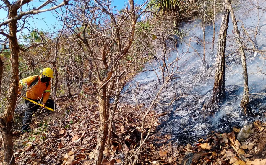 incendios_capital