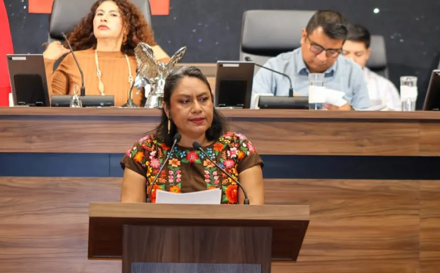 diputada_irma