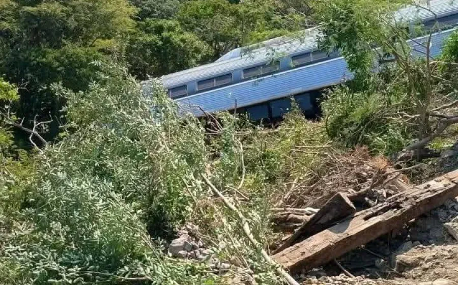 investigan_tren