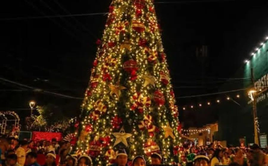 pino_juchitan