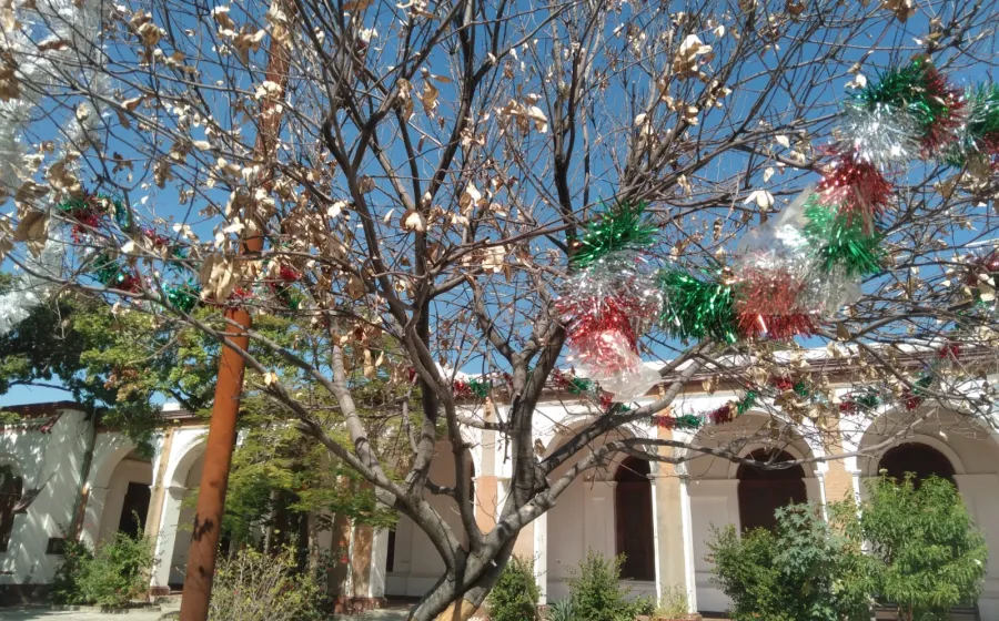 rama_tradicion