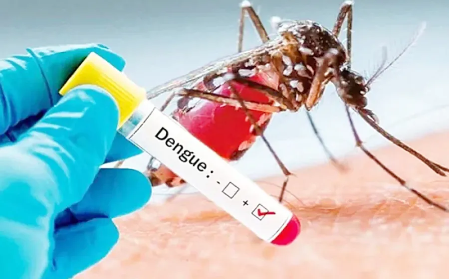 dengue_casos