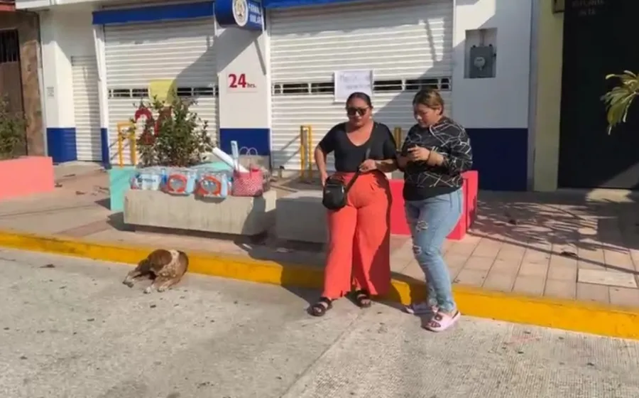 despido_denuncia