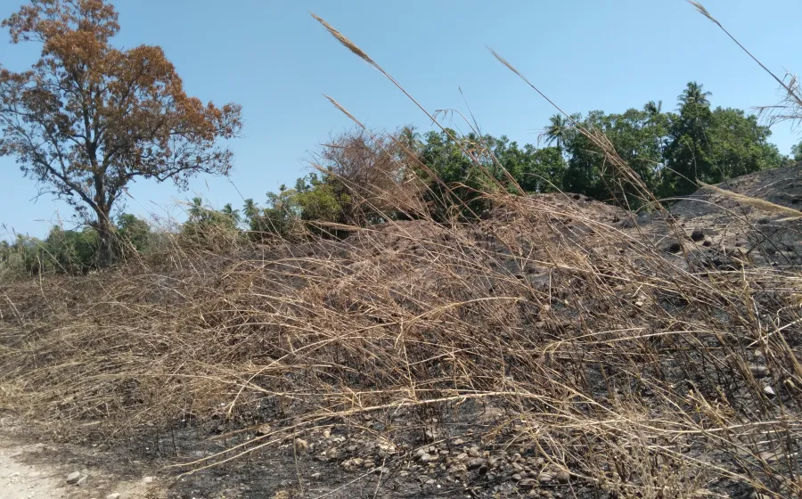 incendios_tehua