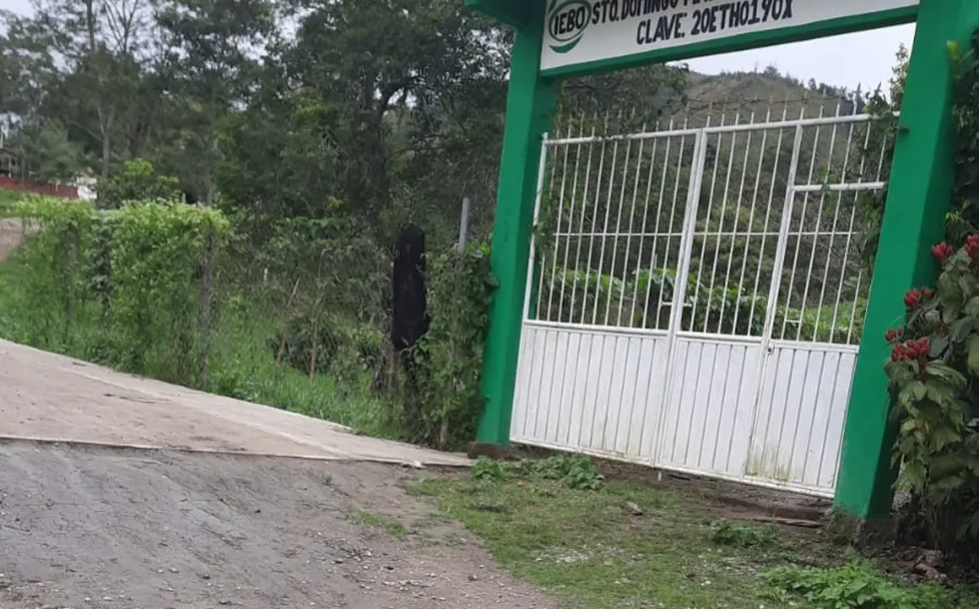 escuela_plantillo