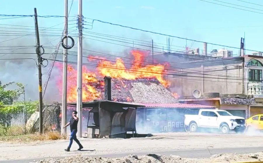 fuego_parilla