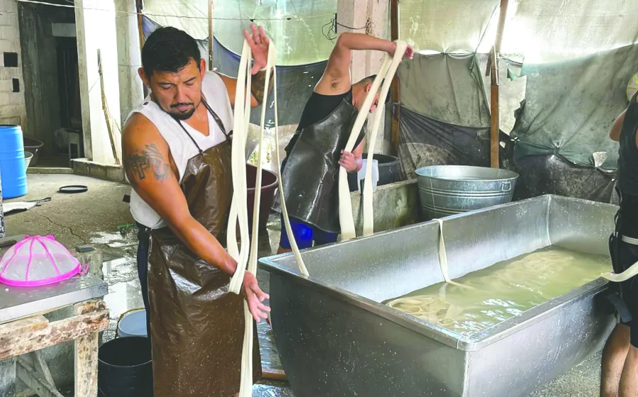 gastronomia_quesillo
