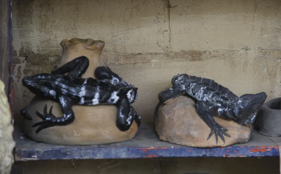 artesanias_iguana