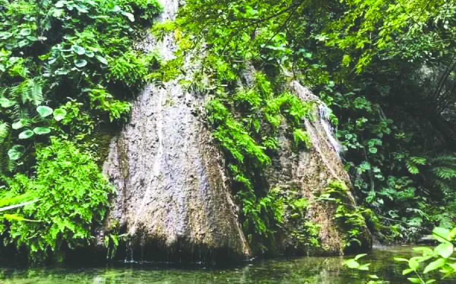 limon_cascada