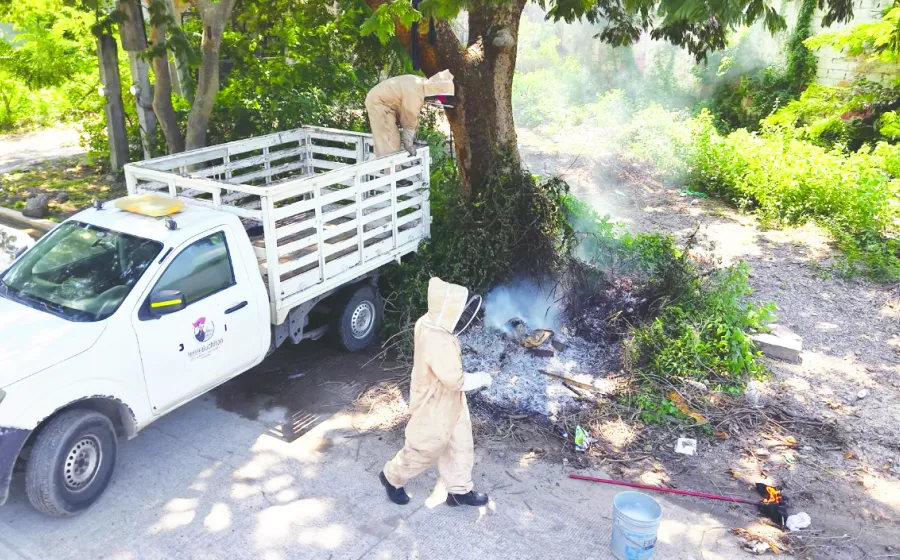 abejas_proteccion