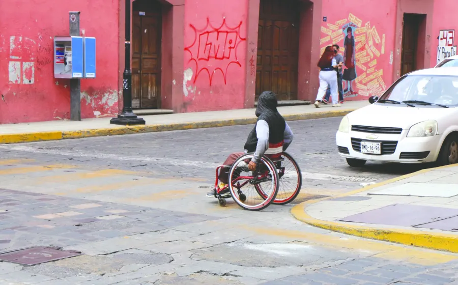afecta_discapacidad