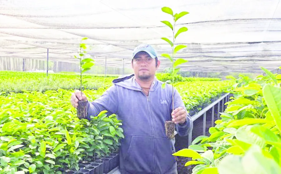 donacion_plantas