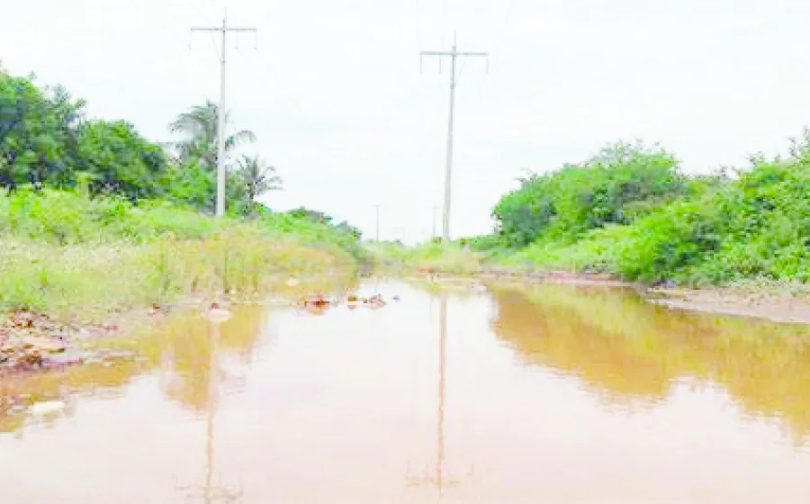 lluvias_afectacion