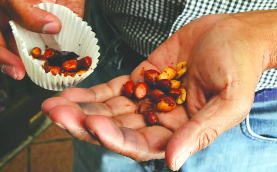alimentos_escuelas