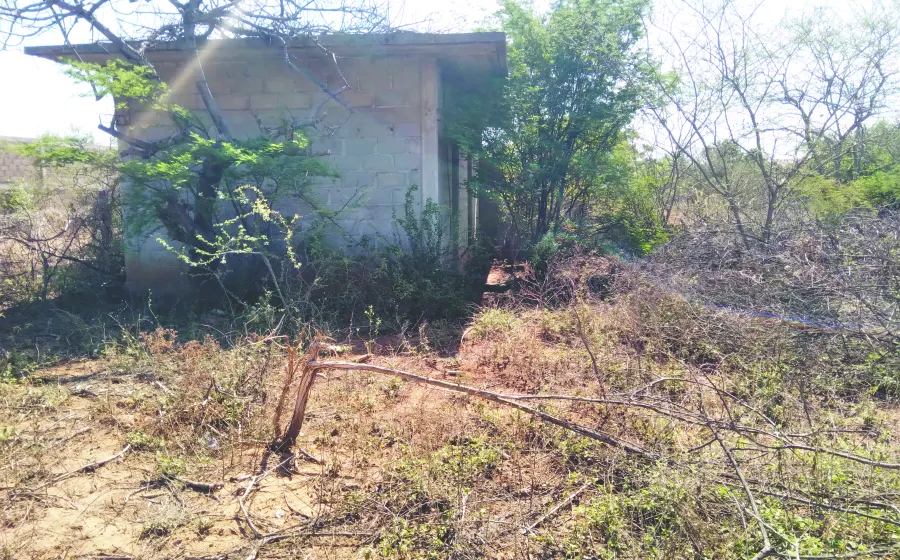 aumento_casas_abandono