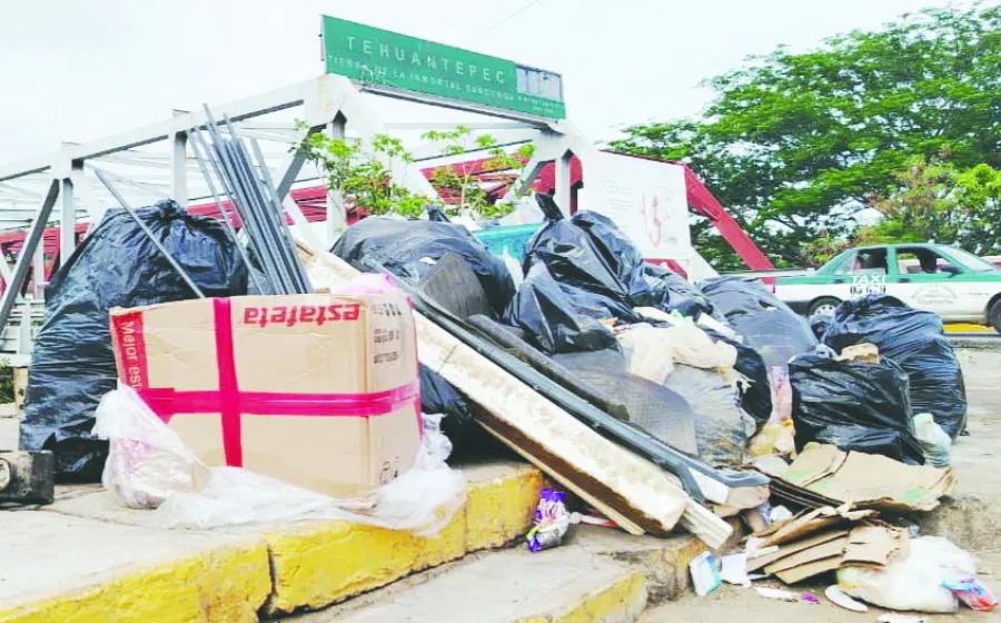 basura_puente