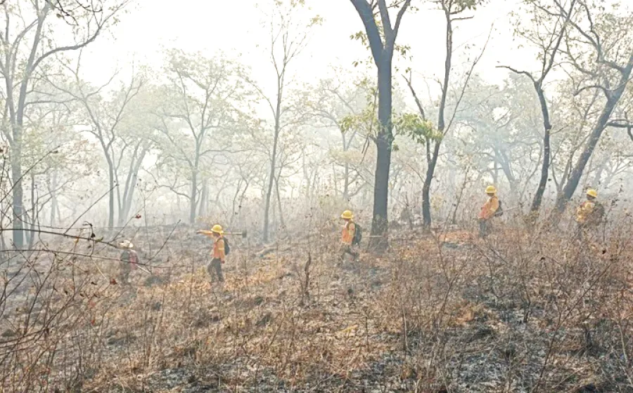 incendio_villa