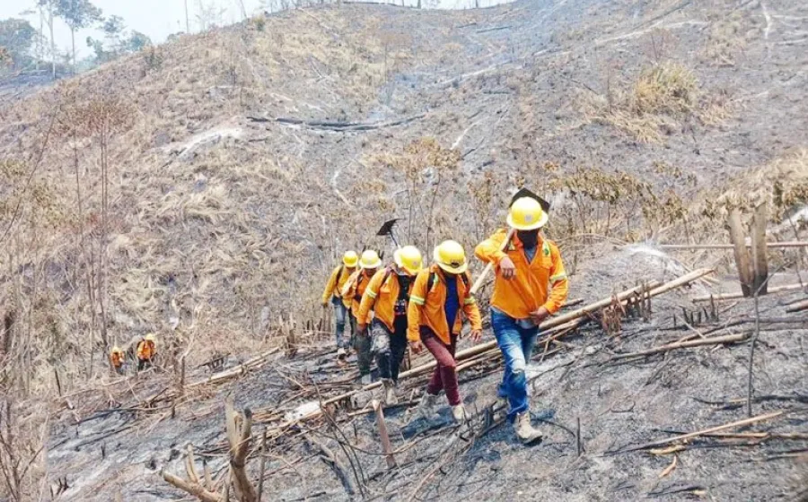 incendios_estatal